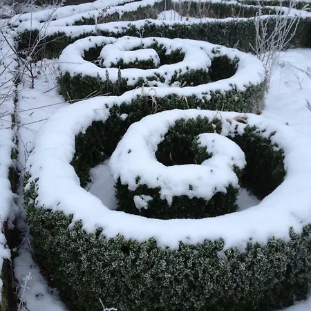 Anno 1924 Im Dorf *