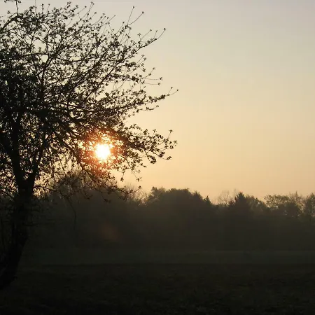 Apartamento Anno 1924 Im Dorf *