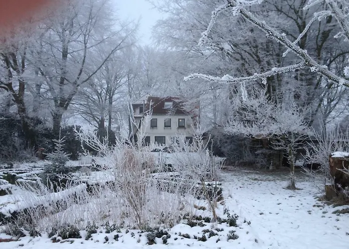 Апартаменты Anno 1924 Im Dorf *
