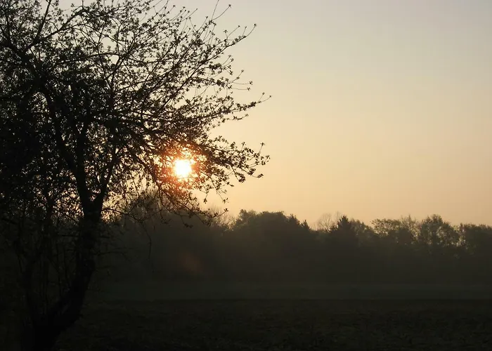 Апартаменты Anno 1924 Im Dorf *