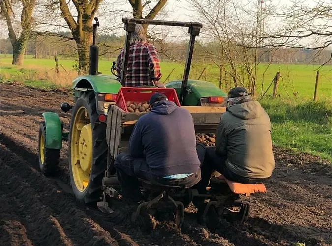 Апартаменты Anno 1924 Im Dorf