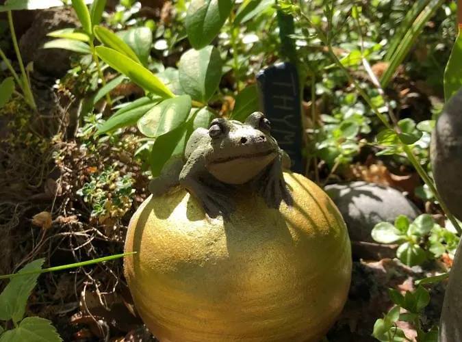 Anno 1924 Im Dorf Апартаменты Beverstedt